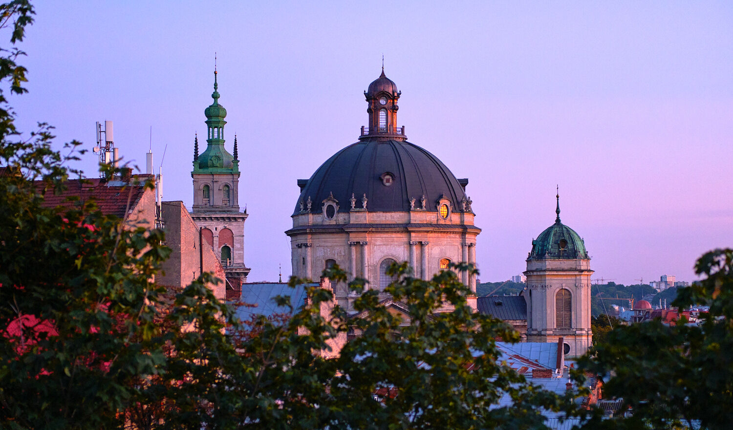 Domes and towers of Lviv at dusk, seen through trees